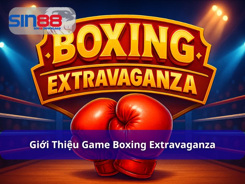 Boxing Extravaganza – Trải Nghiệm Cược Boxing Đỉnh Cao Tại Nhà Cái Sin88