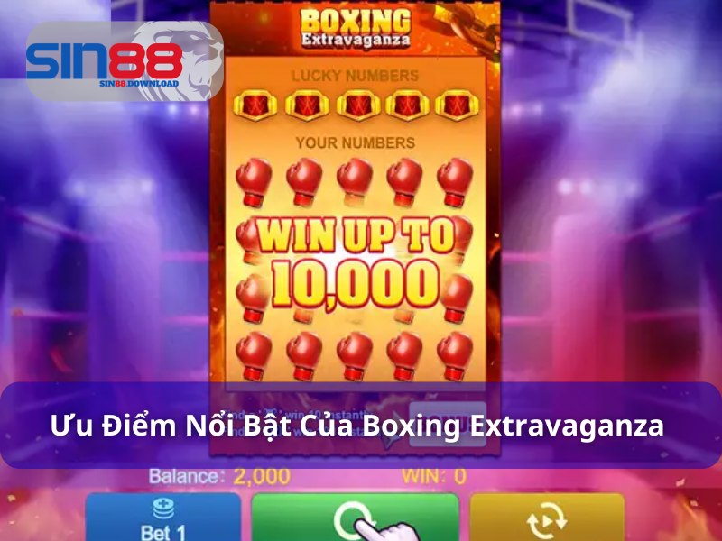 Ưu điểm nổi bật của Boxing extravaganza