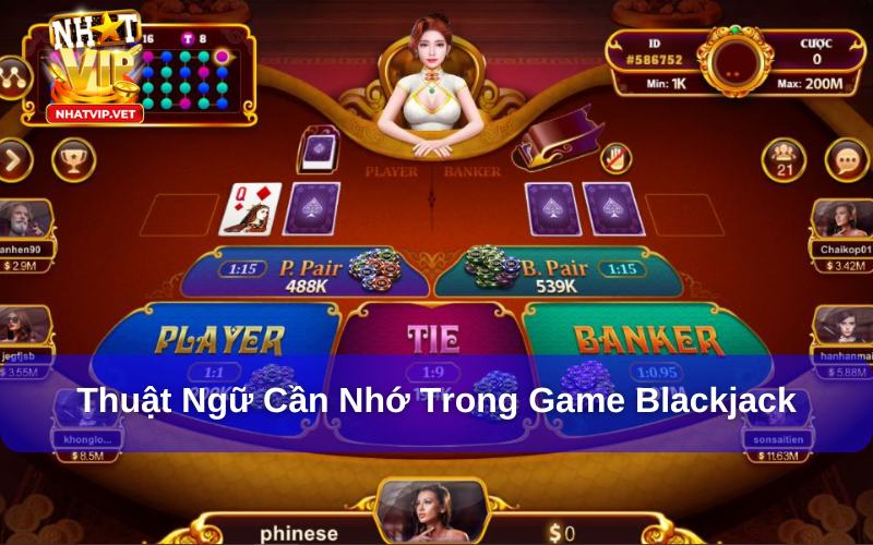Thuật ngữ trong Game Blackjack